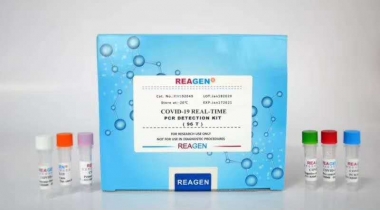 2019新型冠狀病毒(COVID-19)二重核酸檢測(cè)試劑盒(PCR-熒光探針?lè)ǎ? />
                            </a>
                        </div>
                                            </div>
                </div>
                <div   id="saqggoe"   class="col-lg-5">
                    <div   id="skiyocq"   class="product-intro">
                        <h1 class=